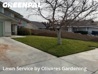 Residential Landscaping In Lancaster,93535,Landscapers by Olivares Gardening , work completed in Jan , 2026