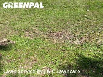 Lawn Care Service nearby Fairview, TN, 