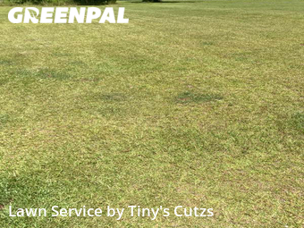 Lawn Cut nearby Valdosta, GA, 