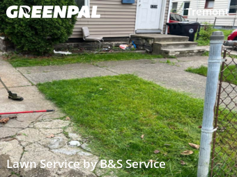 Yard Cutting nearby Cleveland, OH, 