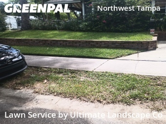 Lawn Service nearby Tampa, FL, 