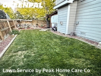 Lawn Carein Brighton,80601,Lawn Mowing by Peak Home Care Co, work completed in Jun , 2026