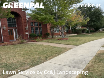 Yard Cutting nearby Frisco, TX, 
