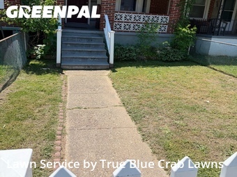 Lawn Cut nearby Dundalk, MD, 