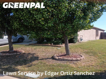 Garden Trimming in Princeton, 75407, Garden Trimming by Edgar Ortiz Sanchez, work completed in Nov , 2025