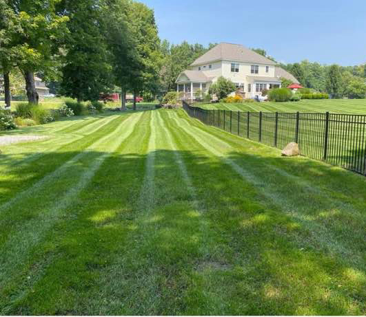 Yard mowing company in Nashville, TN, 37208