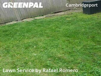 Grass Cut nearby Cambridge, MA, 