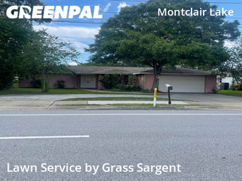 Lawn Service nearby Clearwater, FL, 