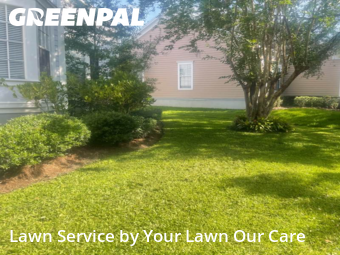 Yard Maintenance in Celebration, 34747, Yard Management by Cnp Lawn Care, work completed in Oct , 2025