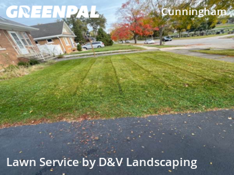 Lawn Maintenancein Joliet,60435,Grass Cutting by D&V Landscaping , work completed in Nov , 2025