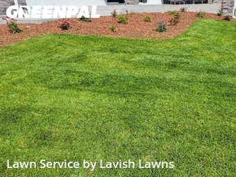 Lawn Mowing nearby Colorado Springs, CO, 