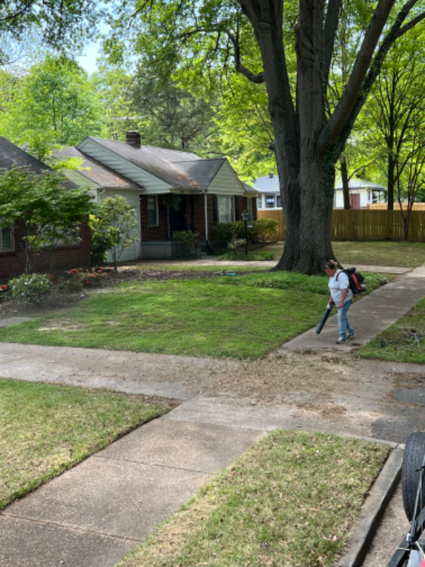 Order Lawn Care in Olive Branch, MS, 38654