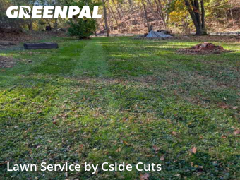 Grass Cutting nearby Pittsburgh, PA, 