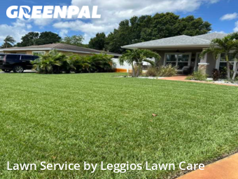 Grass Cut nearby St. Petersburg, FL, 