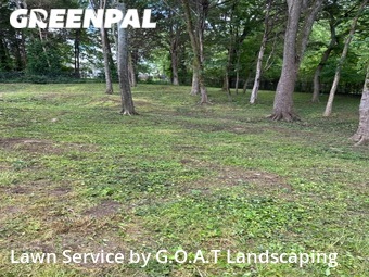 Lawn Cut nearby Nashville, TN, 