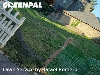 Grass Cut nearby Medford, MA, 