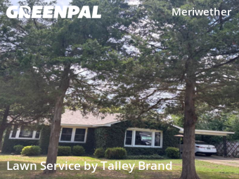 Lawn Cutting nearby Little Rock, AR, 