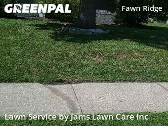 Lawn Care Service nearby Tampa, FL, 