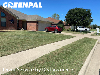 Lawn Cut nearby Killeen, TX, 
