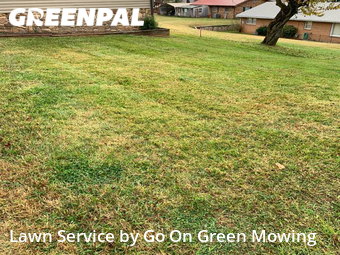 Lawn Mow nearby Salem, VA, 