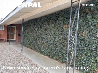 Affordable Landscaping Maintenance Services In Albuquerque,87110,Landscapers by Lucero’s Lanscaping, work completed in Nov , 2025