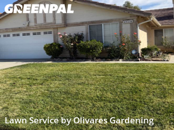 Landscaping Services In Lancaster,93535,Landscaping Services by Olivares Gardening , work completed in Nov , 2025