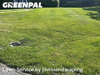 Lawn mowed in Silver Spring, 20905
