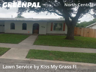 Yard Cutting nearby San Antonio, TX, 