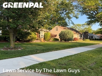 Backyard Landscaping In Warren,48089,Landscaping Installation by The Lawn Guys, work completed in Jun , 2026