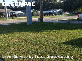 Lawn Cuttingin Apopka,32703,Lawn Service by Totos Grass Cutting, work completed in Nov , 2025