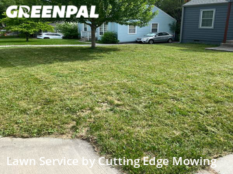 Grass Cut nearby Kansas City, MO, 