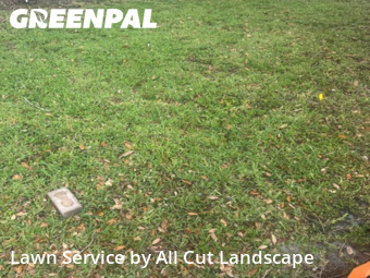 Lawn Cutting nearby Sunrise, FL, 