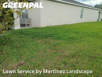 Grass Cutting nearby Apopka, FL, 