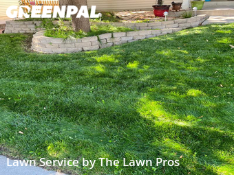 Lawn Mowing Service nearby Longmont, CO, 