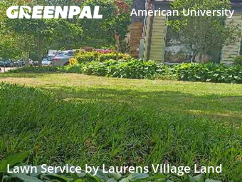 Lawn Mowing nearby Washington, VA, 