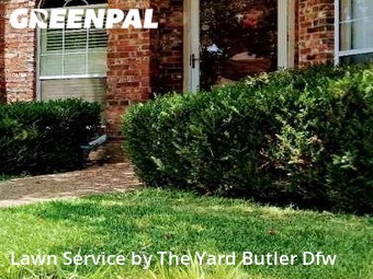 Lawn Mow nearby Dallas, TX, 