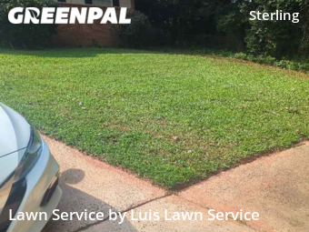 Lawn Maintenance nearby Charlotte, SC, 