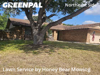 Yard Cuttingin Schertz,78108,Yard Mowing by Honey Bear Mowing, work completed in Nov , 2025