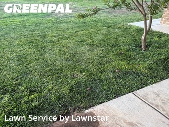 Landscaper In Amarillo,79109,Landscaping Renovation by Lawnstar , work completed in Jun , 2026