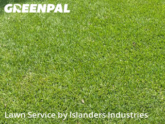 Lawn Maintenance nearby Baton Rouge, LA, 