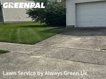 Yard Cutting nearby Lexington, KY, 