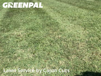 Yard Mowing nearby Murfreesboro, TN, 