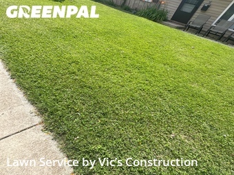 Yard Cutting nearby Romeoville, IL, 
