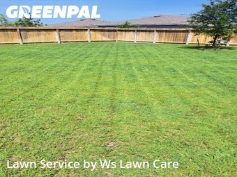 Grass Cuttingin New Braunfels,78130,Lawn Mow by Ws Lawn Care, work completed in Jun , 2026