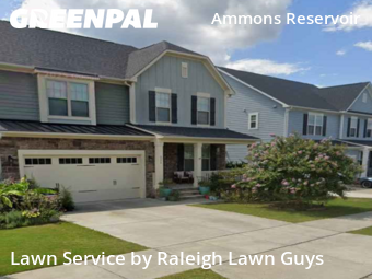 Lawn Cut nearby Wake Forest, NC, 