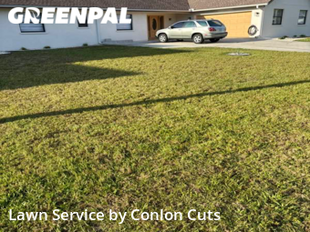 Grass Cutting nearby Ellenton, FL, 