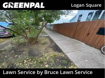 Lawn Cutting nearby Chicago, IL, 