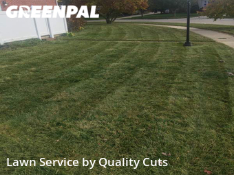 Lawn Cut nearby Brownstown Charter Township, MI, 
