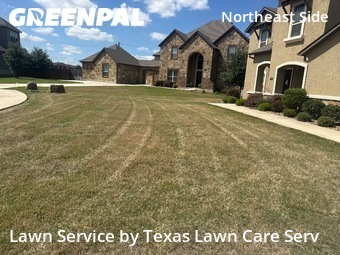 Lawn Cutting nearby Converse, TX, 