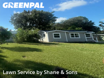 Grass Cut nearby St. Petersburg, FL, 